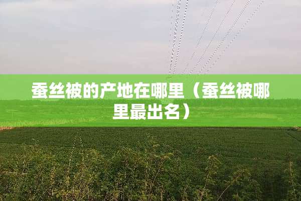 蚕丝被的产地在哪里（蚕丝被哪里最出名）