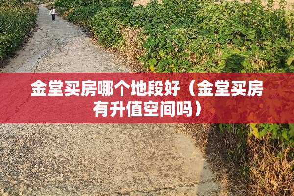金堂买房哪个地段好（金堂买房有升值空间吗）