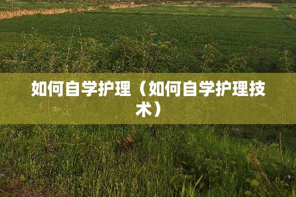 如何自学护理（如何自学护理技术）