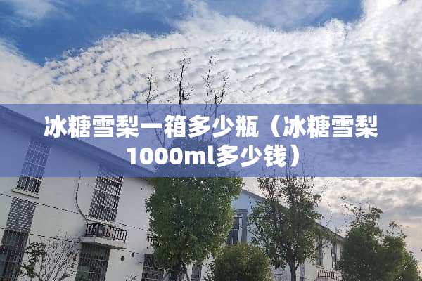冰糖雪梨一箱多少瓶（冰糖雪梨1000ml多少钱）