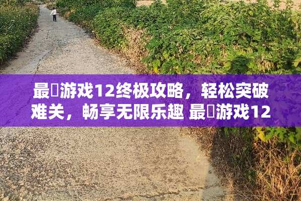 最囧游戏12终极攻略，轻松突破难关，畅享无限乐趣 最囧游戏12攻略
