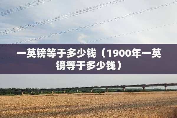 一英镑等于多少钱（1900年一英镑等于多少钱）