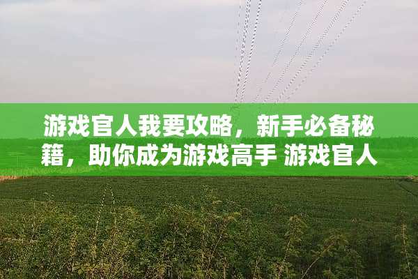 游戏官人我要攻略，新手必备秘籍，助你成为游戏高手 游戏官人我要攻略