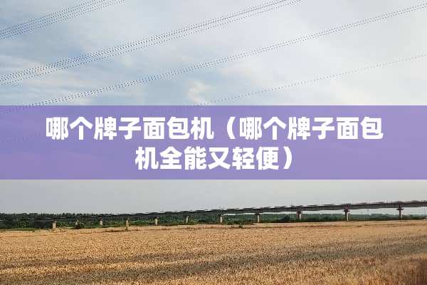 哪个牌子面包机（哪个牌子面包机全能又轻便）