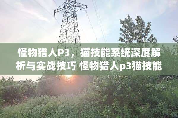 怪物猎人P3，猫技能系统深度解析与实战技巧 怪物猎人p3猫技能