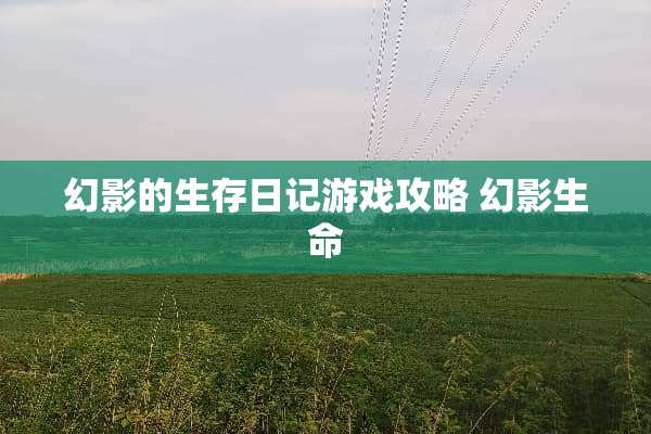 幻影的生存日记游戏攻略 幻影生命