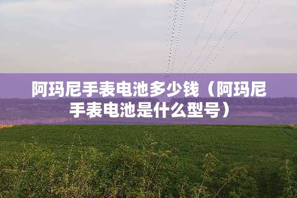 阿玛尼手表电池多少钱（阿玛尼手表电池是什么型号）