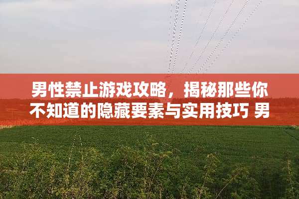 男性禁止游戏攻略，揭秘那些你不知道的隐藏要素与实用技巧 男性禁止游戏攻略