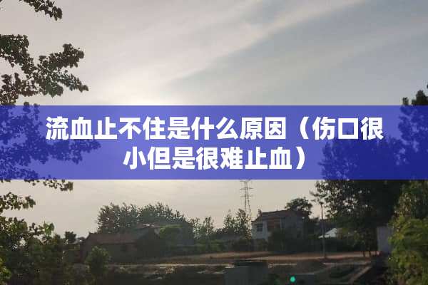 流血止不住是什么原因（伤口很小但是很难止血）