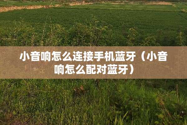 小音响怎么连接手机蓝牙（小音响怎么配对蓝牙）