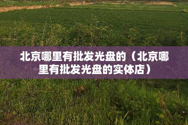 北京哪里有批发光盘的（北京哪里有批发光盘的实体店）