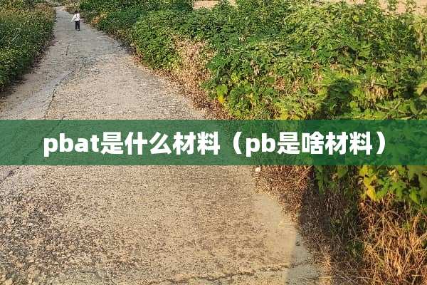 pbat是什么材料（pb是啥材料）