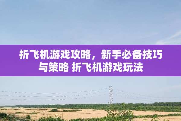 折飞机游戏攻略，新手必备技巧与策略 折飞机游戏玩法