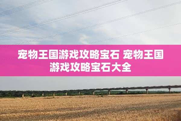 宠物王国游戏攻略宝石 宠物王国游戏攻略宝石大全