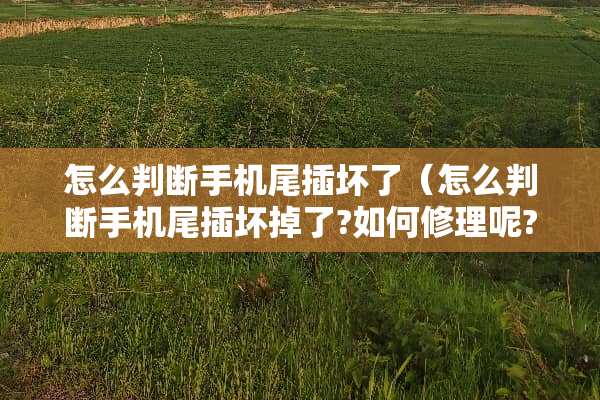 怎么判断手机尾插坏了（怎么判断手机尾插坏掉了?如何修理呢?）