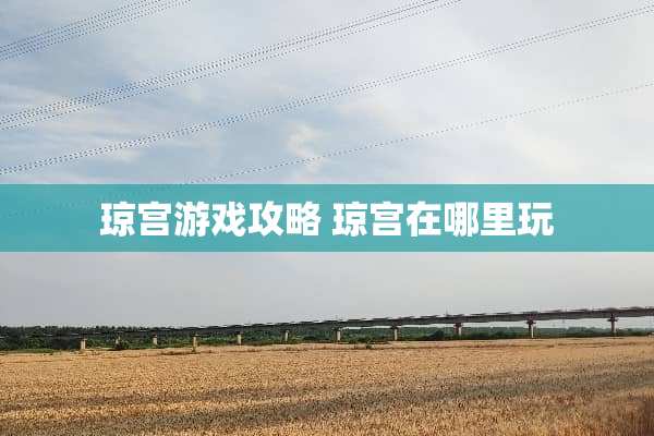 琼宫游戏攻略 琼宫在哪里玩