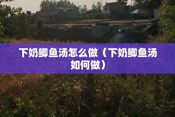 下奶鲫鱼汤怎么做（下奶鲫鱼汤如何做）