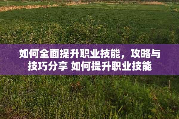 如何全面提升职业技能，攻略与技巧分享 如何提升职业技能