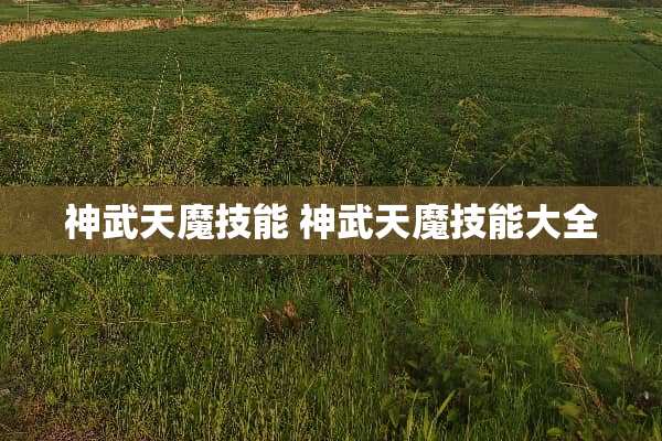 神武天魔技能 神武天魔技能大全