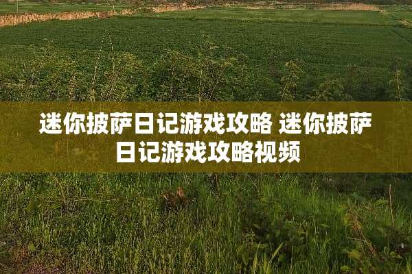迷你披萨日记游戏攻略 迷你披萨日记游戏攻略视频
