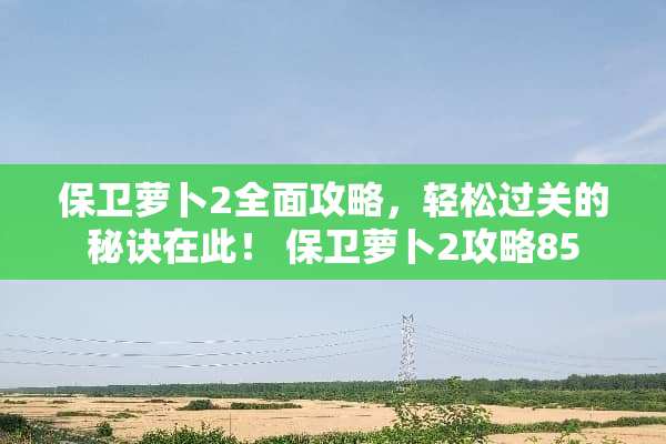 保卫萝卜2全面攻略，轻松过关的秘诀在此！ 保卫萝卜2攻略85