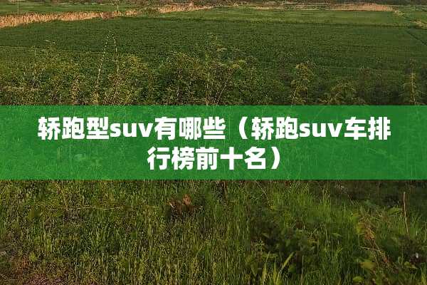 轿跑型suv有哪些（轿跑suv车排行榜前十名）