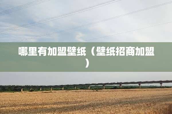 哪里有加盟壁纸（壁纸招商加盟）