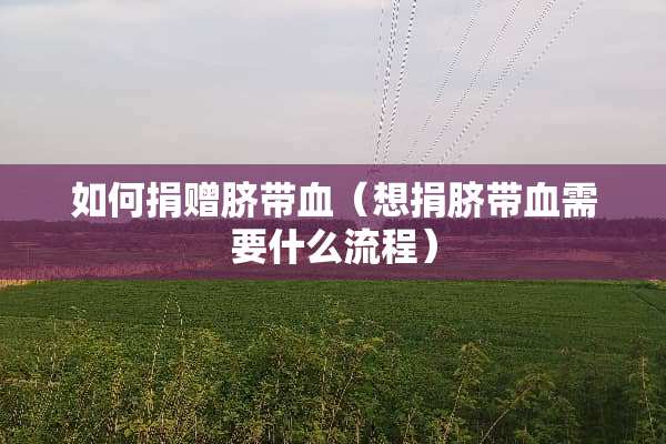 如何捐赠脐带血（想捐脐带血需要什么流程）