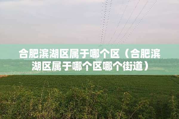 合肥滨湖区属于哪个区（合肥滨湖区属于哪个区哪个街道）