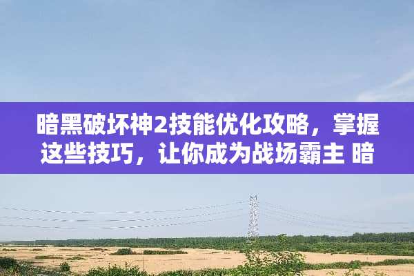 暗黑破坏神2技能优化攻略，掌握这些技巧，让你成为战场霸主 暗黑2放技能