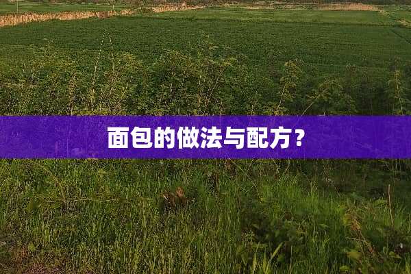 面包的做法与配方？