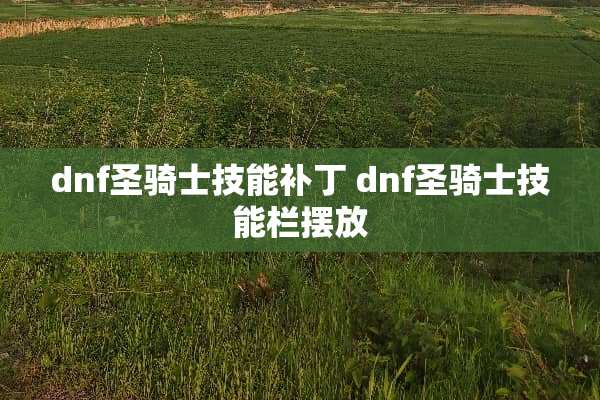 dnf圣骑士技能补丁 dnf圣骑士技能栏摆放