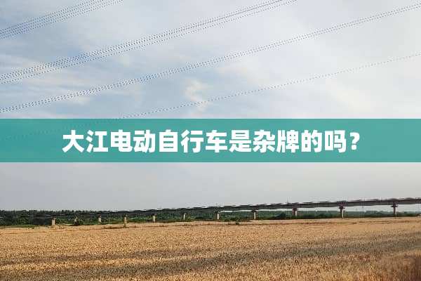 大江电动自行车是杂牌的吗？