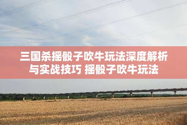 三国杀摇**吹牛玩法深度解析与实战技巧 摇**吹牛玩法