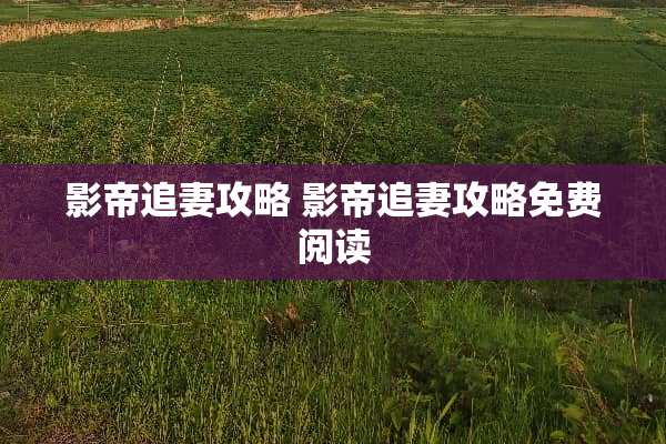 影帝追妻攻略 影帝追妻攻略免费阅读