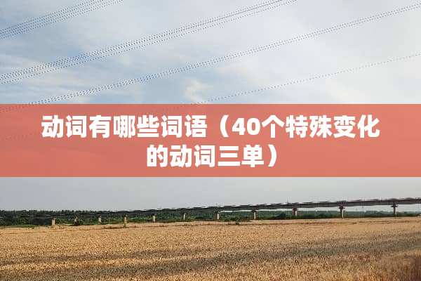 动词有哪些词语（40个特殊变化的动词三单）