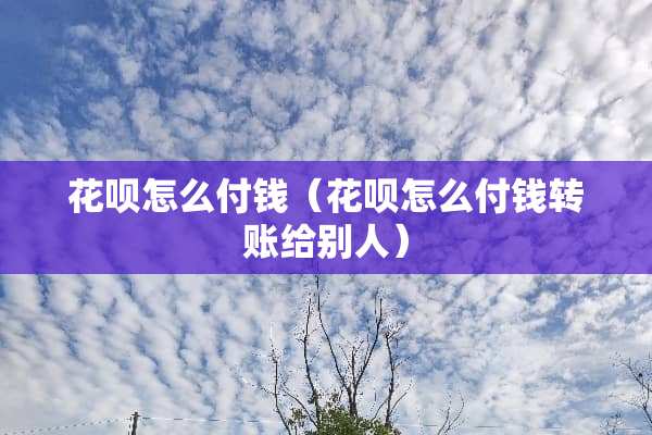 花呗怎么付钱（花呗怎么付钱转账给别人）