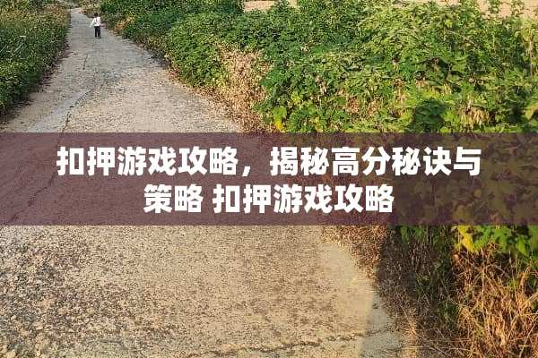 扣押游戏攻略，揭秘高分秘诀与策略 扣押游戏攻略