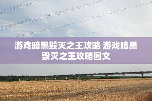 游戏暗黑毁灭之王攻略 游戏暗黑毁灭之王攻略图文