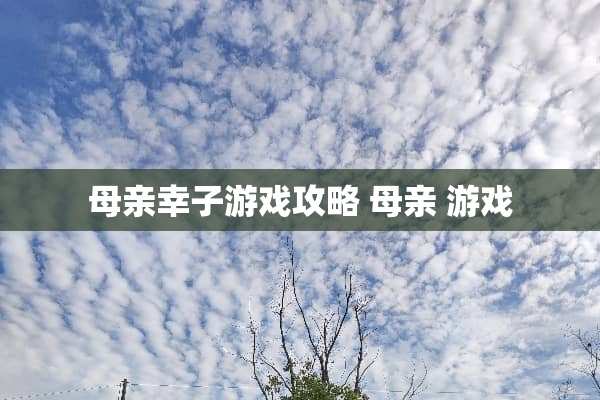 母亲幸子游戏攻略 母亲 游戏