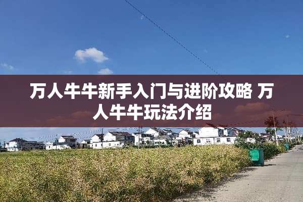 万人**新手入门与进阶攻略 万人**玩法介绍