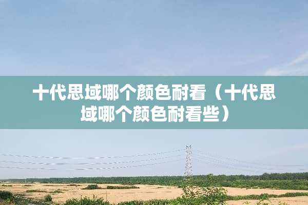 十代思域哪个颜色耐看（十代思域哪个颜色耐看些）