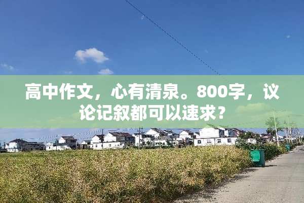 高中作文，心有清泉。800字，议论记叙都可以速求？