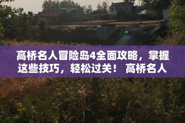 高桥名人冒险岛4全面攻略，掌握这些技巧，轻松过关！ 高桥名人冒险岛4攻略