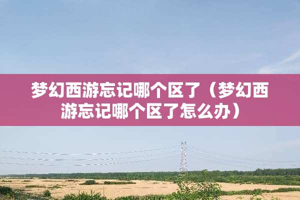 梦幻西游忘记哪个区了（梦幻西游忘记哪个区了怎么办）