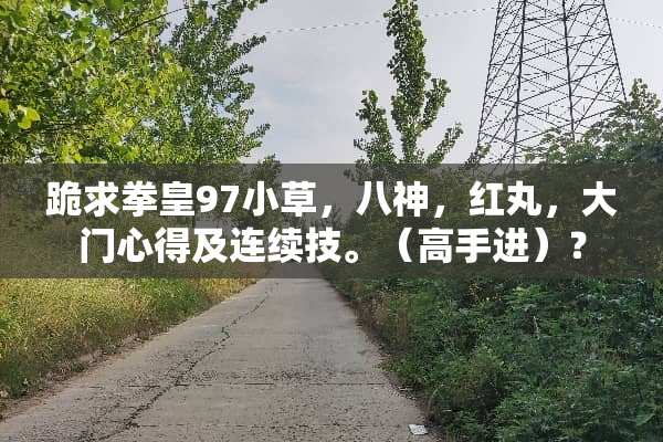 跪求拳皇97小草，八神，红丸，大门心得及连续技。（高手进）？