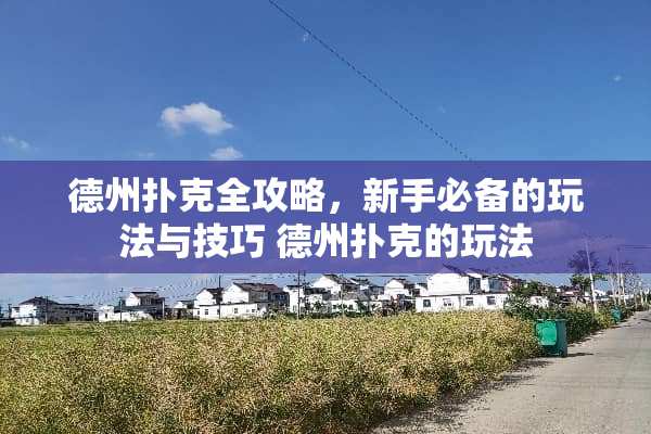 德州扑克全攻略，新手必备的玩法与技巧 德州扑克的玩法