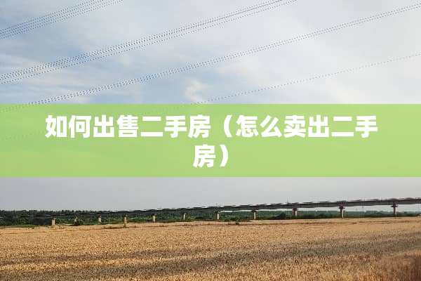 如何出售二手房（怎么卖出二手房）