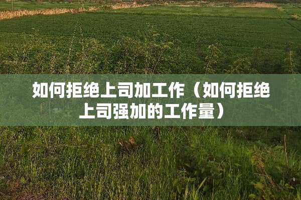 如何拒绝上司加工作（如何拒绝上司强加的工作量）