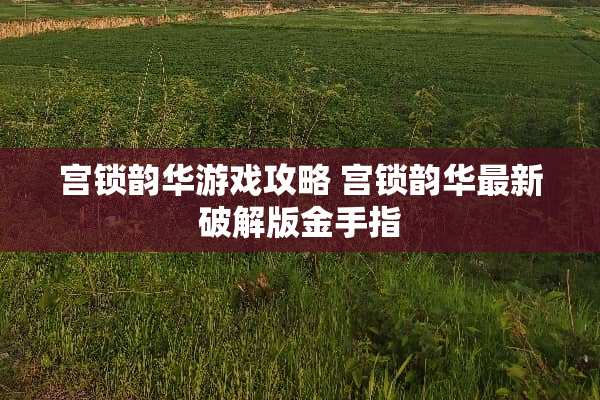 宫锁韵华游戏攻略 宫锁韵华最新**版金手指